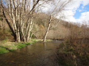 Immagine del fiume Eliceto nel territorio di Lago (CS)